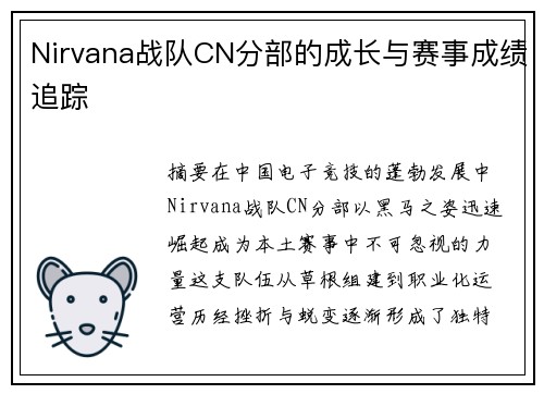 Nirvana战队CN分部的成长与赛事成绩追踪